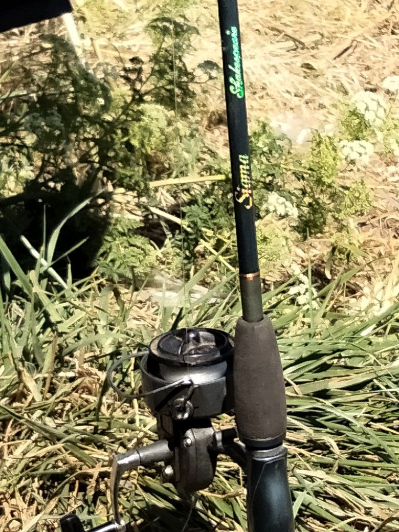 Vintage 6' Shakespeare Sigma Spincast+ Daiwa Normann Deluxe