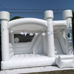 White Bouncer 