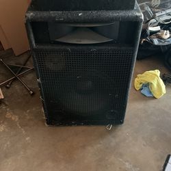 Bass Speaker