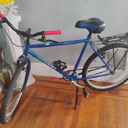 90s Performance 403 Clunker City Bike