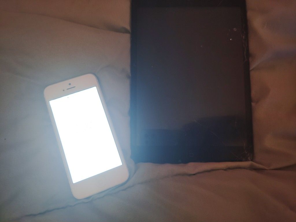 iPad Mini