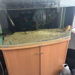 Jebo Fish tank 