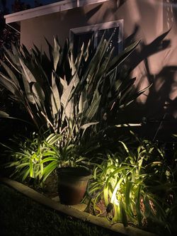 RGB LED 6-pack Landscape Lights with Remote