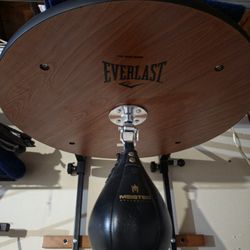 Boxing Speed Bag