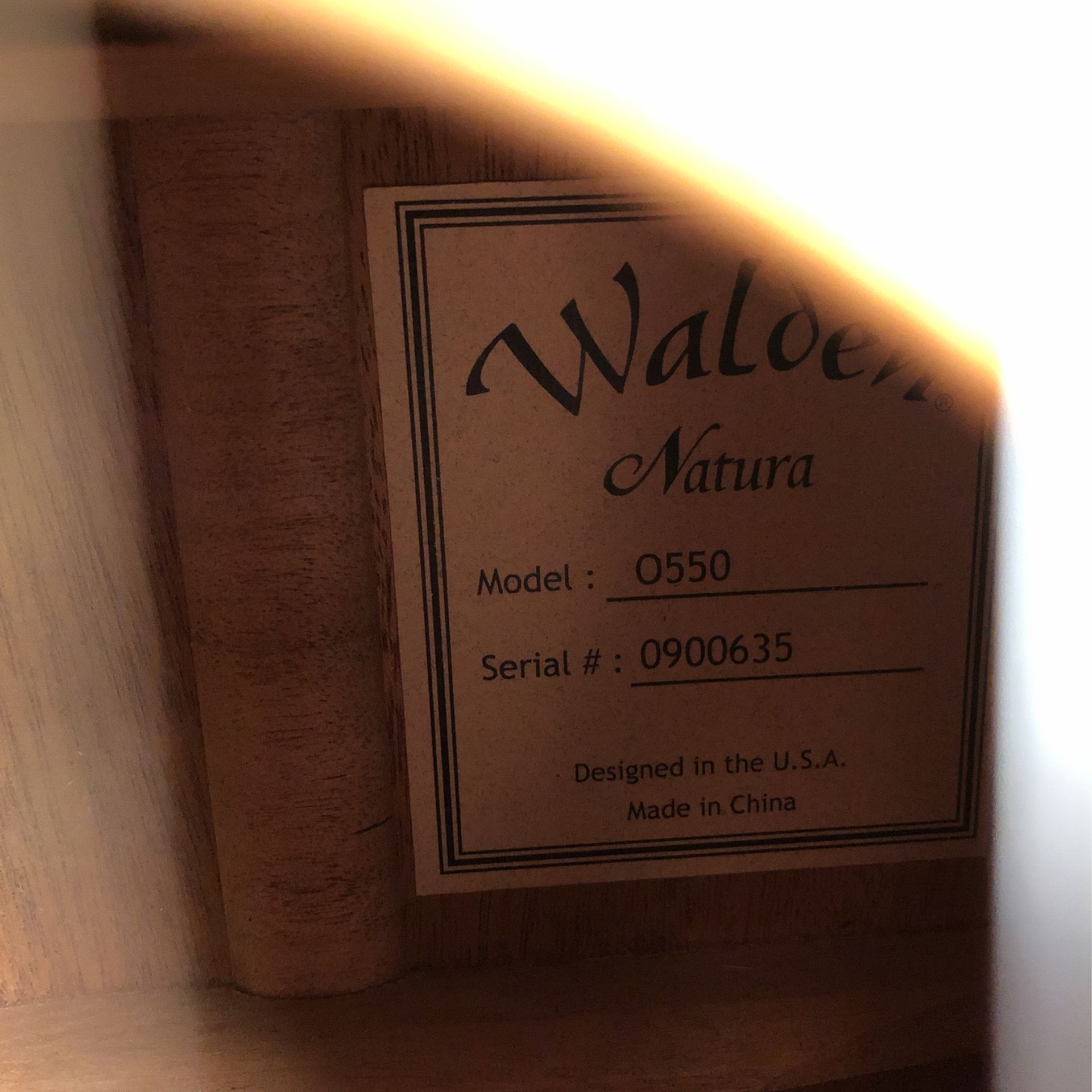 Walden O550 Acoustic Guitar