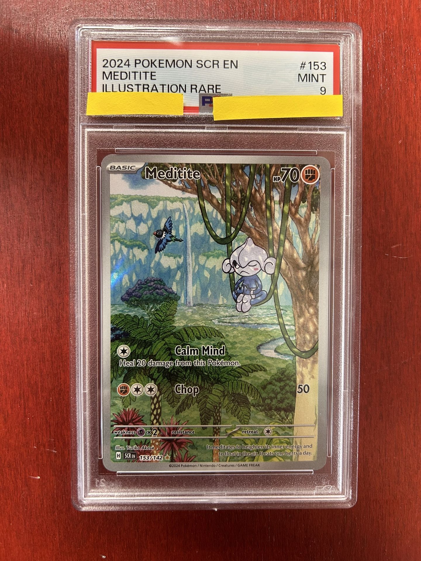 2024 Meditite Mint 9 #153 Illustration Rare