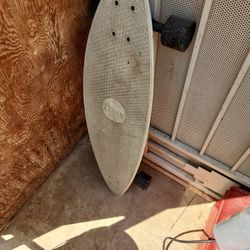 Penny Board.  Skateboard 