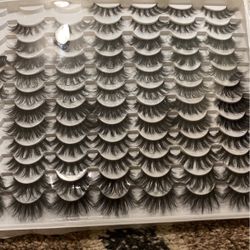 Eyelash’s