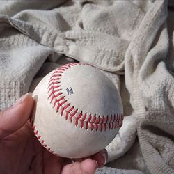 Official Florida State League Signed Baseball (Marty Malloy #16 & Team)