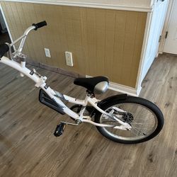 Bike Trailer Passenger Bicycle 