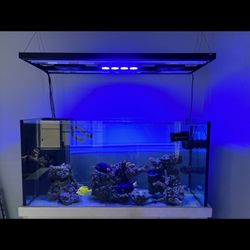 Leemar Corner Aquarium Fish Tank 90 Gallon