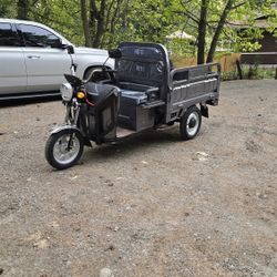 60V 1000W Electric Cargo Trike – Dump Bed Workhorse
