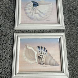 Art pic frame draw shell ocean beach hang decor