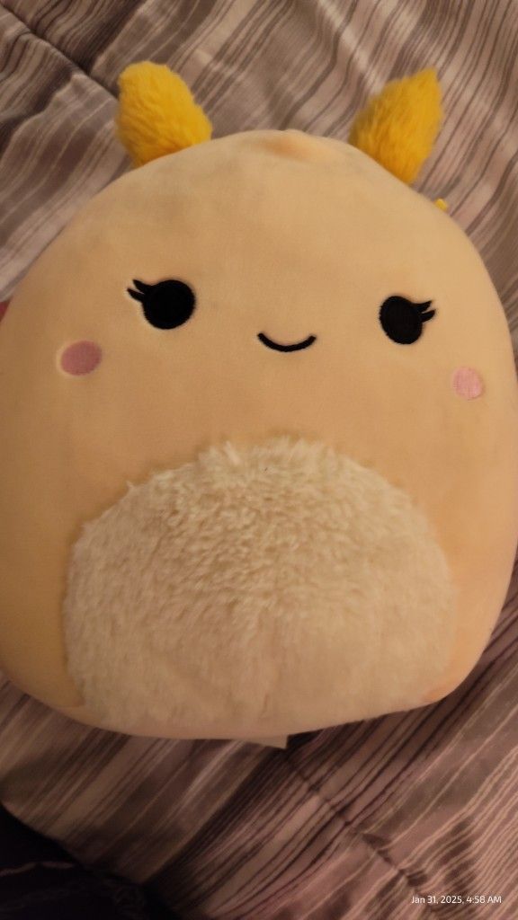 Bundle Of Squishmallows