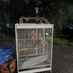 bird cage 