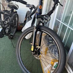 Bicicleta Eléctrica 