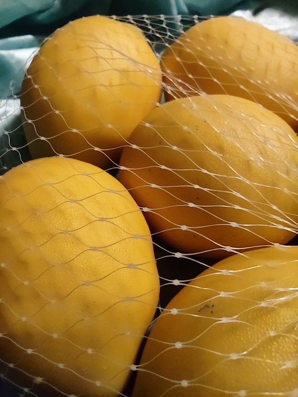 Way Fair Allen Grove False Realistic Lemons 6 In Bag
