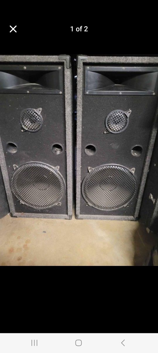 15-in Custom DJ Speakers