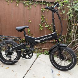 Puckipuppy Electric Bike