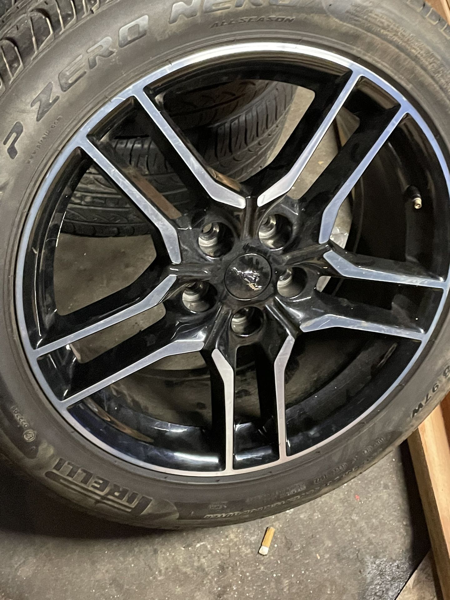 Rines 18 Tengo Los 4 Mustan Originales