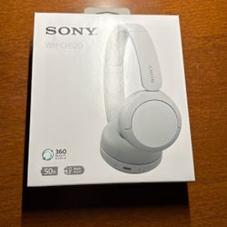 Sony Headphones WH-CH520