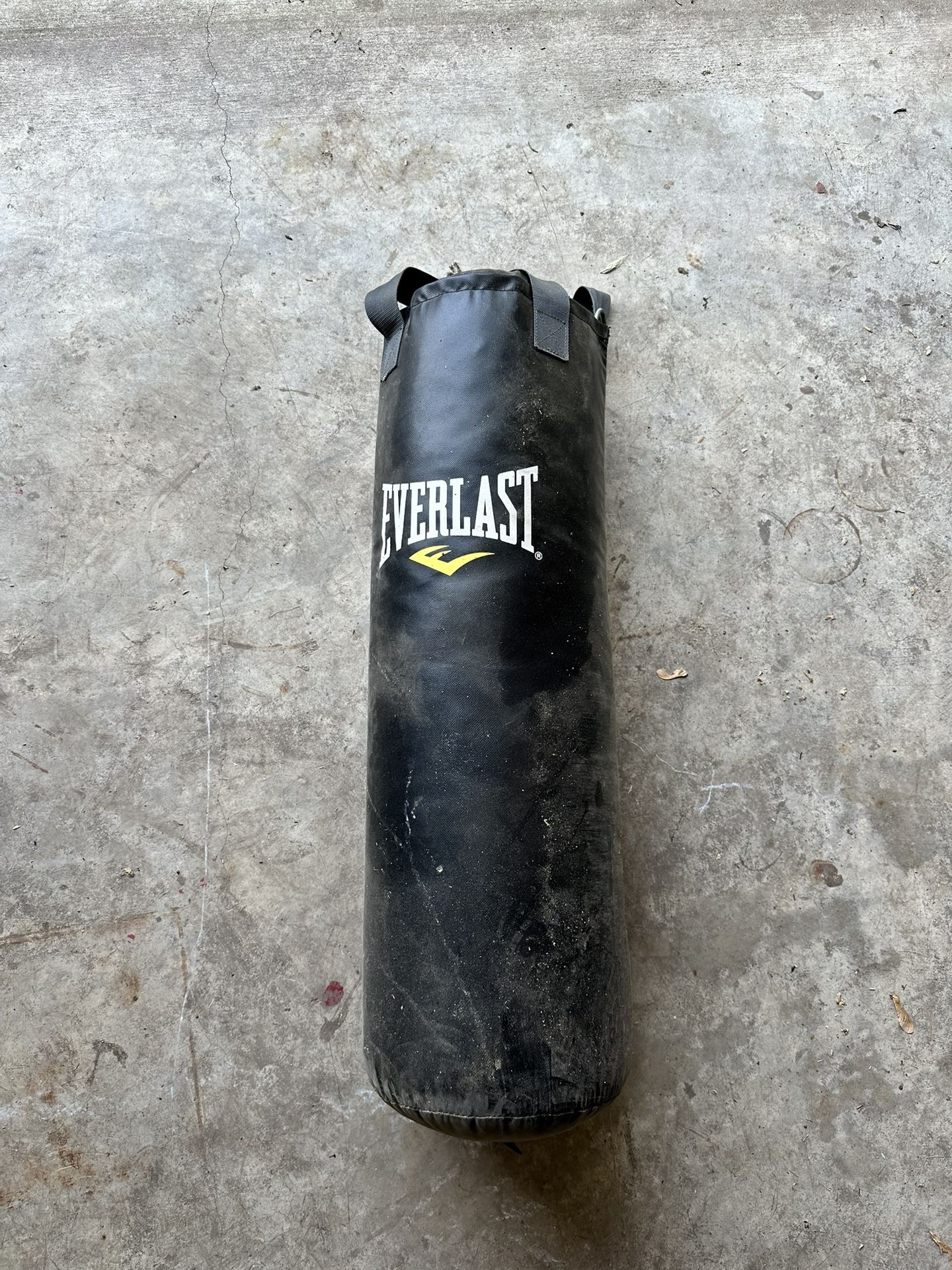 Everlast Punchin Bag