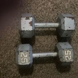 25 Lb 