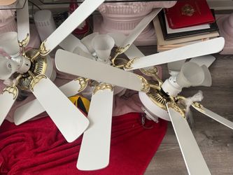 Ceiling Fan Light