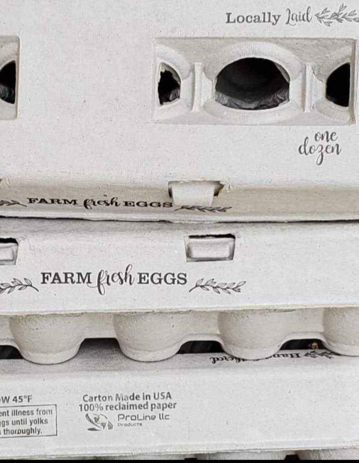 Fresh Eggs For Sale