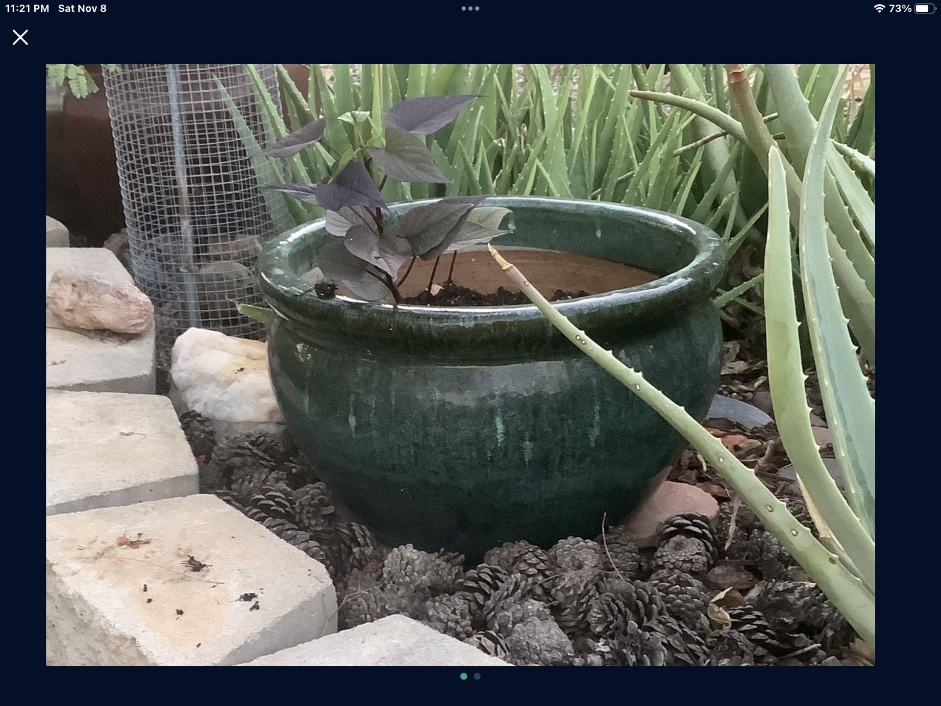 Beautiful Big Big Flower Pot