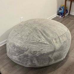FREE big Bean Bag