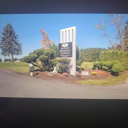 Cemetery Plot