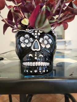 Sugar Skull 💀 Black N White