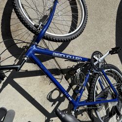 Cannondale Men’s Bike M300