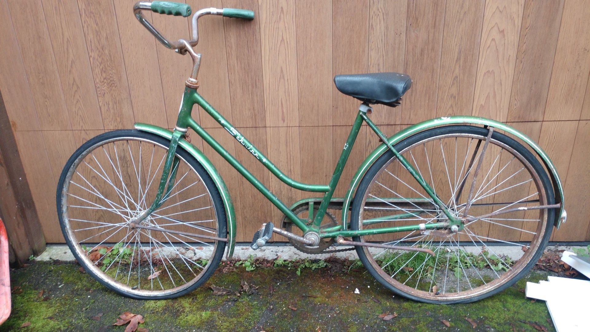 Vintage Schwinn Breeze Girls Bike