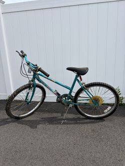 Mountain Bike