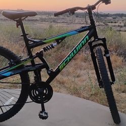 Bicycle  29  Schwinn 