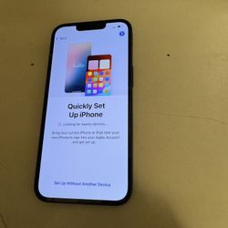 iPhone 13