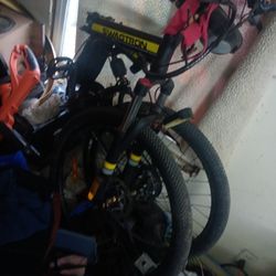 Electric Bike Swagtron  36v