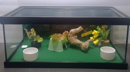 10 Gallons Reptile Tank Kit Top Opening 