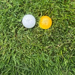 2 Vice Pro Plus Golf Balls