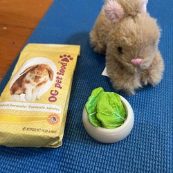 American Girl Doll Rabbit Set
