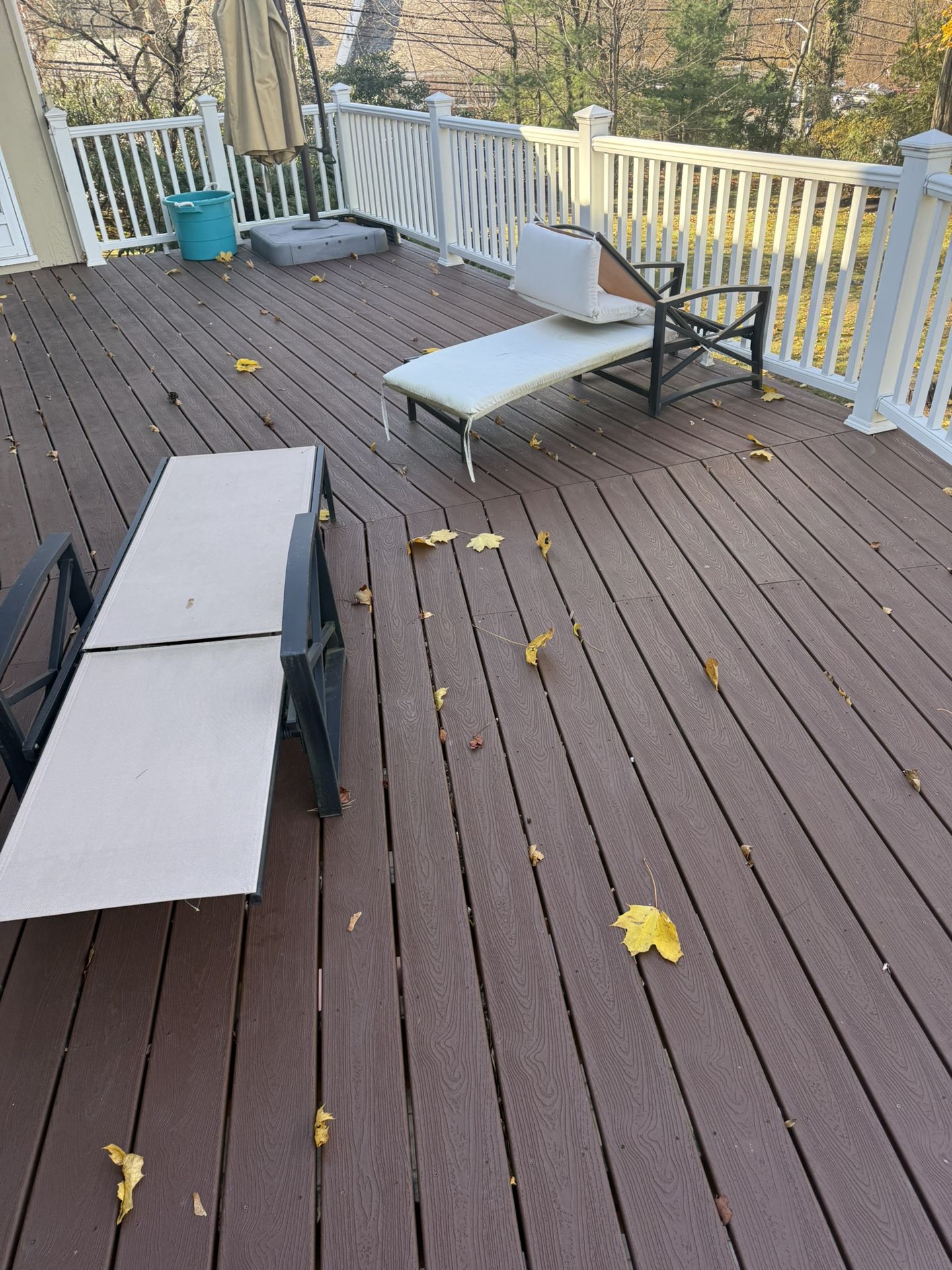 Patio Chaise lounge Chairs 