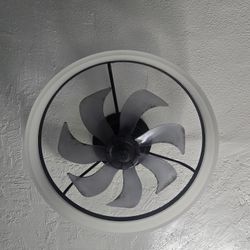 Black Ceiling Fan/Light 