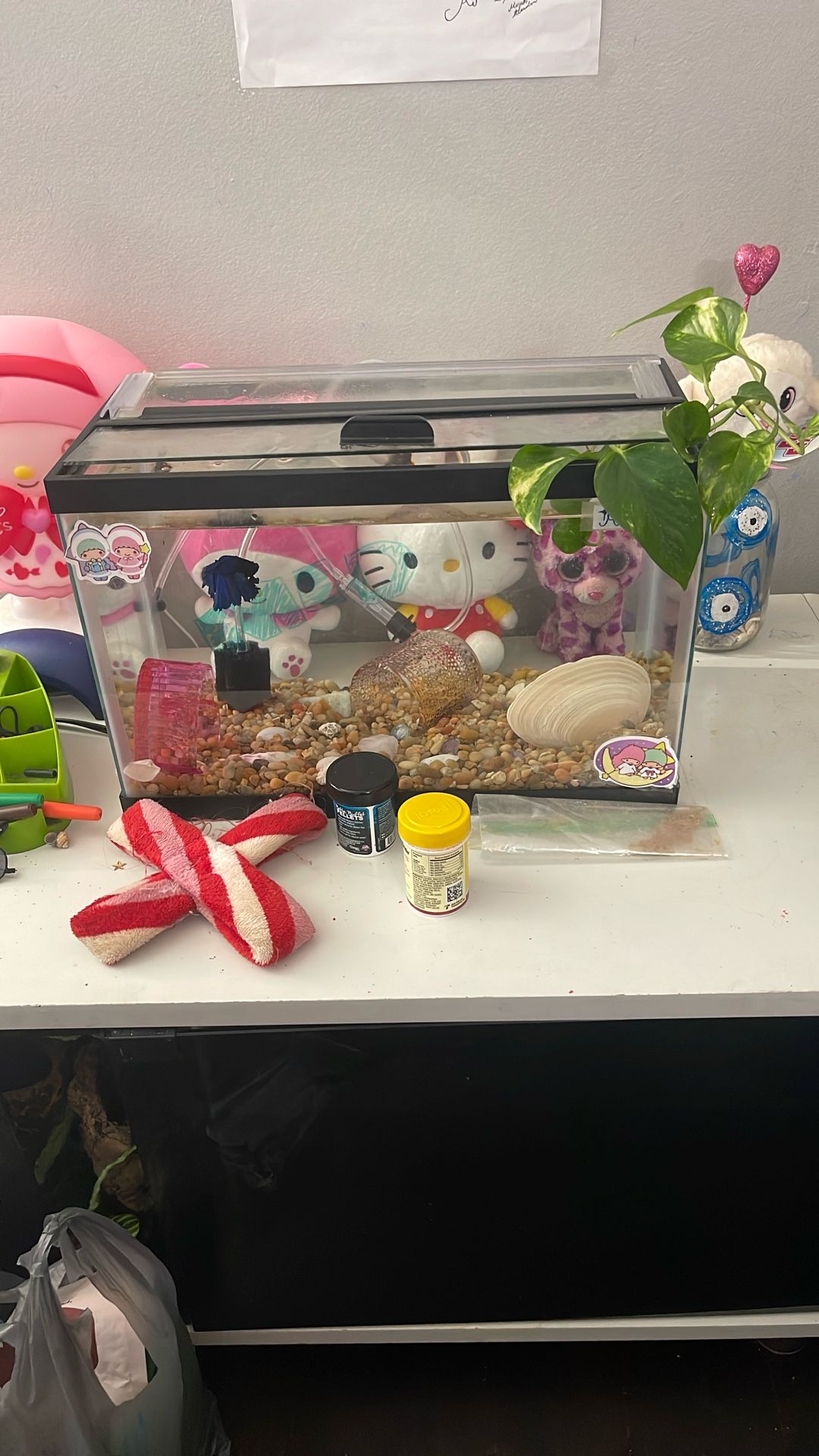 10 Gallon Tank