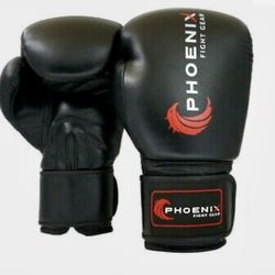 Phoenix Fight Gear Gloves And Shin Guards