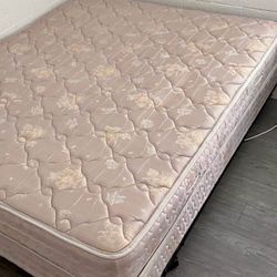 queen bed in good condition 