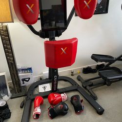 Boxing Pads Machine - Nexersys Punching Sparring Fitness Drills System