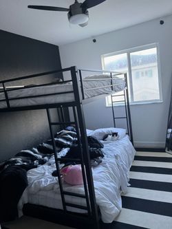 Free bunk beds