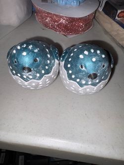 Baby blue birds